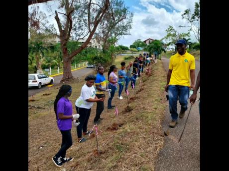 Kenrick Melvin (right), a forest technician at the Forestry Department, students, and parents at Hampton School in St Elizabeth get ready to plant ornamental tree seedlings along the school’s driveway during its post-Hurricane Beryl workday, dubbed ‘Re