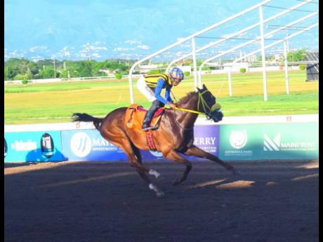 Credit: Anthony Minott/Freelance Photographer
SENSATIONAL MOVE, ridden by Raddesh Roman, wins the ninth race, a three-year-old and upwards overnight allowance stakes over five furlongs straight at Caymanas Park yesterday.