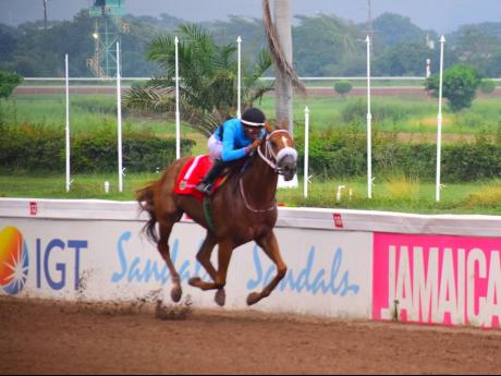 Credit: Anthony Minott/Freelance Photographer
DESERT OF MALIBU, ridden by Raddesh Roman, wins the three-year-old and upwards graded stakes/open allowance None Such Sprint Trophy over six furlongs at Caymanas Park yesterday.