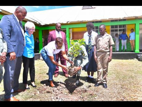 State Minister in the Ministry of National Security, Juliet Cuthbert Flynn (third left), is assisted in planting a tree during Friday’s launch of the Peace Gardens in Schools Competition, at Kingston High School. The initiative is a collaboration between