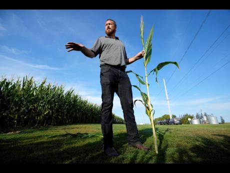 Cameron Sorgenfrey holds a short corn stalk next to one of his fields, September 16, 2024, in Wyoming, Iowa.