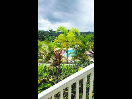 The swimming pool sits in an attractively landscaped garden.
