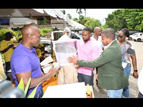 Credit: Contributed Minister of Agriculture, Fisheries and Mining Floyd Green (right) and Mayor of Montego Bay and Chairman of the St James Municipal Corporation, Councillor Richard Vernon (centre), inspect a bee suit while apiculture officer Sherlock Pinnock (left) observes.