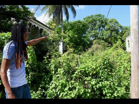 Nutchell Millings, a resident of Perth Town, Trelawny, points out overgrown vegetation dangerously close to Jamaica Public Service Company [JPS] wires in the community. Residents have complained that the proximity of vegetation to the lines has contributed