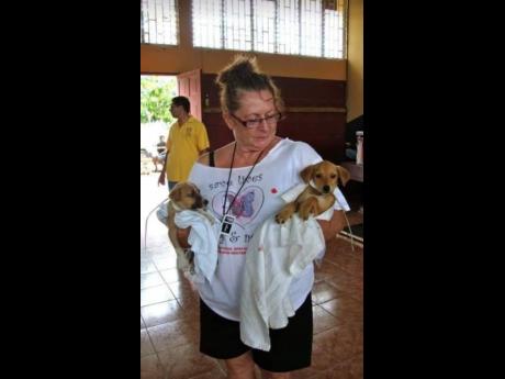 The International Spay and Neuter Network clinic was the moment Debra Lightheart says she was first introduced to the animal world in Jamaica and committed to volunteering in Negril.