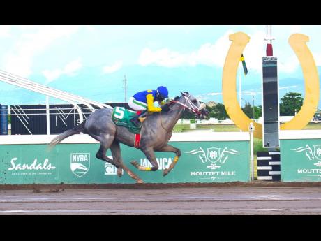 MOJITO, ridden by Dane Dawkins, wins the Kaz Hoshay Trophy over six furlongs, a three-year-old and upwards open allowance stakes at Caymanas Park on Saturday.