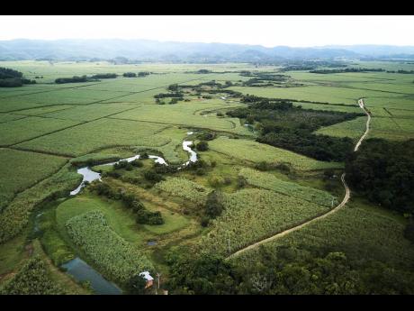 The picturesque Nassau Valley, St Elizabeth.