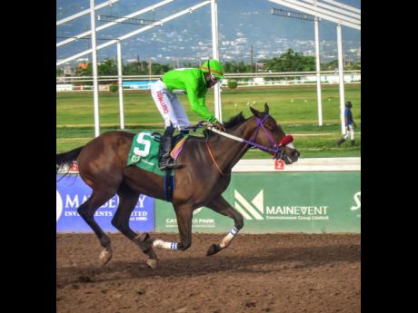 Credit: Anthony Minott MACK AND ROME, ridden by Matthew Bennett, wins the Terremoto Trophy over nine-and-half furlongs at Caymanas Park on July 20.