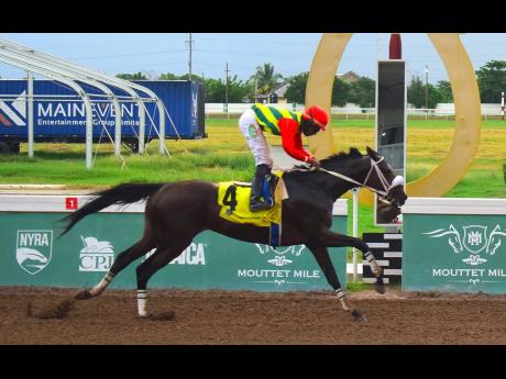Credit: Anthony Minott/Freelance Photographer Overseas-based horse, BARNABY, ridden by Omar Walker, comfortably wins the three-year-old and upwards overnight allowance Alsafra Trophy over seven and a half furlongs at Caymanas Park yesterday.