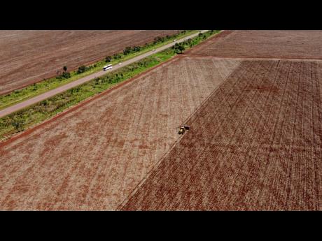 Soybeans are planted on a farm in a rural area of Sidrolandia, Mato Grosso do Sul state, Brazil, October 22, 2022.