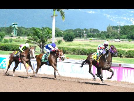 UNSPUN (right), ridden by Christopher Mamdeem, wins the Mr. Sensational Trophy, a two-year-old restricted allowance stakes over seven furlongs, ahead of BURNING HEDGE  (centre) and DANKA at Caymanas Park on Saturday, November 30. 