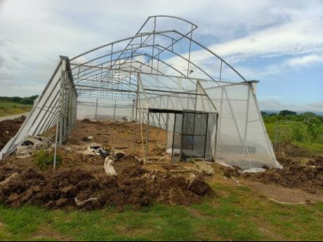  The greenhouse at Amity Hall Agro Park in St Catherine, which is currently being rehabilitated under the terms of the memorandum of understanding between Agro-Invest and the World University Service of Canada. 