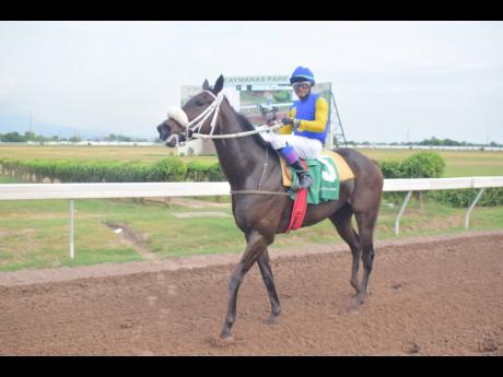 MS CHERRY, ridden by Ismael Velasque, wins the four-year-old and over stakes OTB Appreciation Day Trophy over seven furlongs at Caymanas Park yesterday.