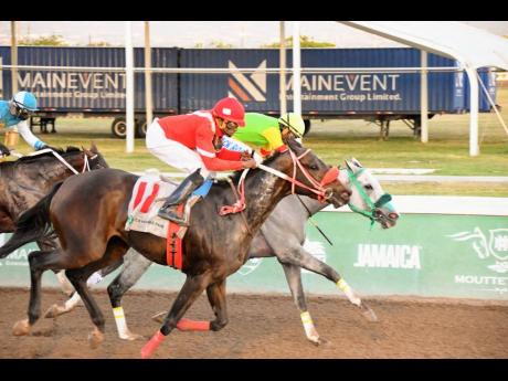 MAGNIFICENT FORCE (outside), ridden by Ian Spence, comes with a strong late run to defeat MIDNIGHT FLIGHT (Shane Ellis) by a short head in last Saturday’s ninth race over 5-1/2 furlongs at Caymanas Park.