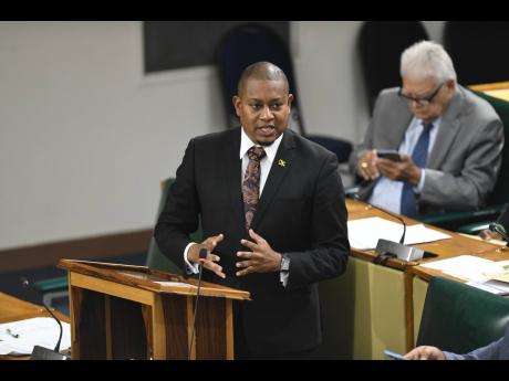 Minister of Agriculture, Fisheries and Mining, Floyd Green speaking in Parliament on February 4, 2025.