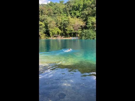 Credit: Gareth Davis Sr photo A visitor swimming in the lagoon.