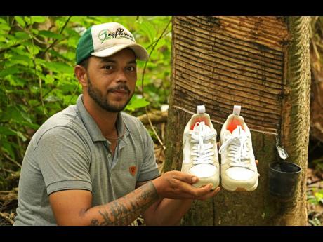 Rubber tapper Rogerio Mendes shows off his Veja sneakers, received as a prize for his work as a young rubber extractor in the Chico Mendes Extractive Reserve, Acre state, Brazil, Wednesday, December 7, 2022. Veja, an expensive global sneaker brand, is prod
