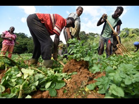 The ‘Grow What We Eat, Eat What We Grow’ mindset needs to be revived and expanded.
