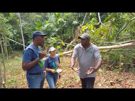 Credit: Forest Manager at the Forestry Department’s North West Regional Office, Ian Wallace (right), interacts with (from left) General Manager at Sandals Ochi Beach Resort, Gary Holgate, and Regional Public Relations Manager for Sandals Ocho Rios, Lyndsay Isaac