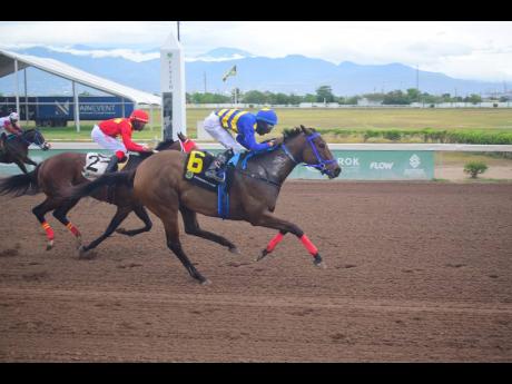 Anthony Minott/Freelance Photographer 
CHAMPION BUBBLER (left), ridden by Tajay Suckoo, wins the Reggae Trophy ahead of PACK PLAYS at Caymanas Park yesterday.