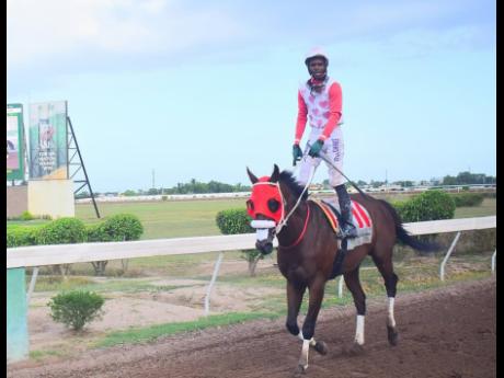 INTRESTNTIMEAHEAD, with Reyan Lewis aboard, walks back to the winner’s enclosure after capturing the Labour Day  Trophy feature over seven furlongs at Caymanas Park yesterday.