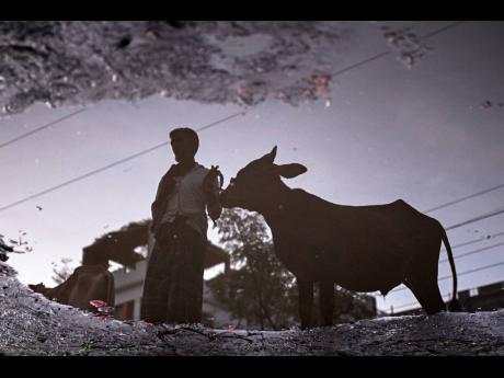 A vendor at a livestock market is reflected in a pool of water as he waits for customers ahead of the Muslim festival of Eid al-Adha, in Dhaka, Bangladesh, on Thursday.