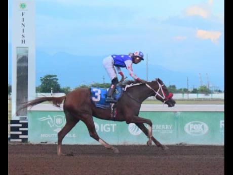 Anthony Minott/Freelance Photographer
BURNING HEDGE, ridden by Champion Jockey Raddesh Roman, wins the 51st running of the 1000 Jamaica Guineas at Caymanas Park yesterday.