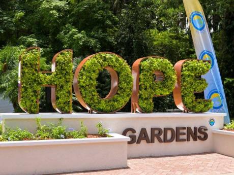 The Jam-Iconic Experience at Hope Gardens in St Andrew.