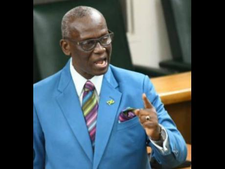 Local Government Minister Desmond McKenzie.