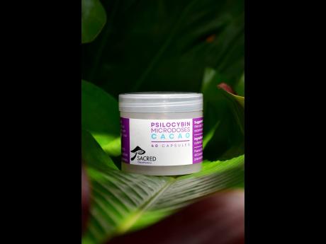 Psacred Therapeutics’ microdose Cacao  capsules. The Jamaican psilocybin producer supplies Beckley Retreats-an overseas-based company that runs retreats locally, with ‘carefully tested products’. 
