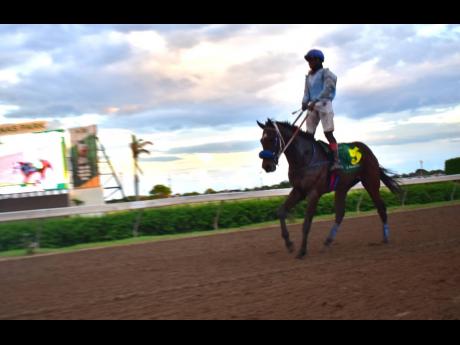A jockey and race horse on the track at Caymanas Park in St Catherine on October 29, 2022.