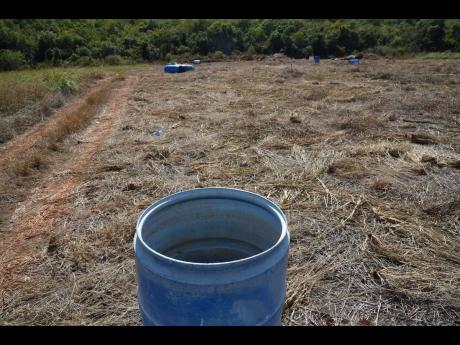 Credit: File Empty water drums left in the field by farmers in Flagaman, St Elizabeth, in 2022.
