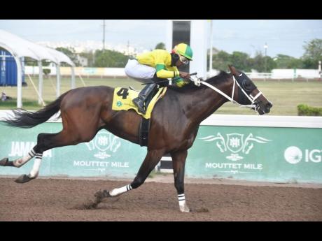 United States-bred LEGACY ISLE, ridden by Tevin Foster, wins the Omar Walker Trophy at Caymanas Park in March. 