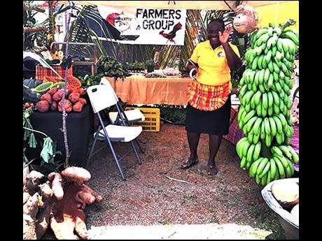 Farm Town JAS President Sarah Lawrence in the Farm Town market stall.