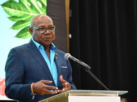 Minister of Tourism, Edmund Bartlett, addresses the audience during the Gastronomy Academy of Jamaica Launch at the Montego Bay Convention Centre on Wednesday.