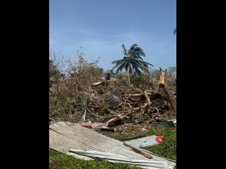 Farmers were severly affected as many crops did not survive Hurricane Beryl. 