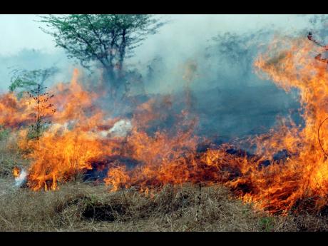 It is unclear when the blaze started and what sparked it.