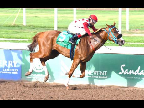 MAMMA MIA, ridden by Shavon Townsend, wins the ninth race over seven and a half furlongs at Caymanas Park on Sunday, July 7, 2024.