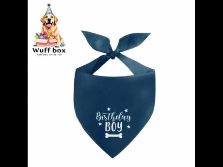 The navy BarkDay bandana.