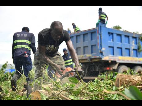Personnel from China Harbour Engineering Company Limited and the National Solid Waste Management Authority remove a fallen tree on Mandela Highway near the entrance to Portmore, St Catherine.