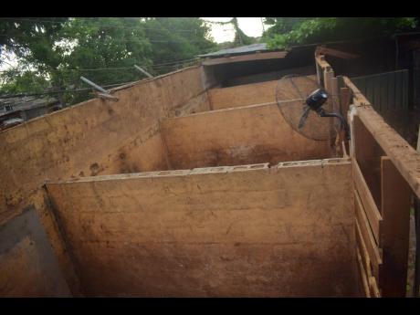 Credit: Anthony Minott/Freelance Photographer The roofless barn belonging to Anthony ‘Baba’ Nunes at Caymanas Park.