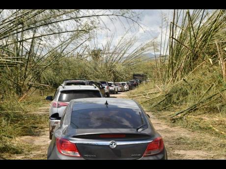 Motorists wait for the clearance of Bamboo Avenue, popularly known as Holland Bamboo, in St Elizabeth following Hurricane Melissa.