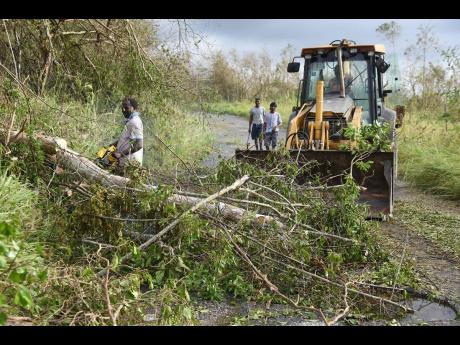 A backhoe driver and other volunteers clear fallen trees blocking the Clark's Town to Daniel Town main road in Trelawny.
