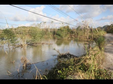 A flooded farm in Bog Hole, Clarendon, days after Hurricane Melissa made landfall in Jamaica.