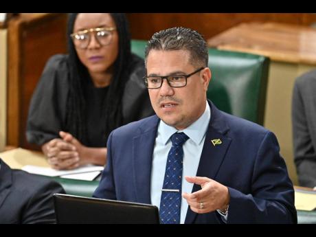 Minister of Water, Environment Minister and Climate Change,Matthew Samuda, speaking in the House of Representatives on October 21, 2025.  
