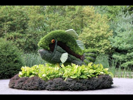 Photo by Howard Campbell 
Mosaiculture in the gardens at Niagara Parks Botanical Gardens, Ontario, Canada