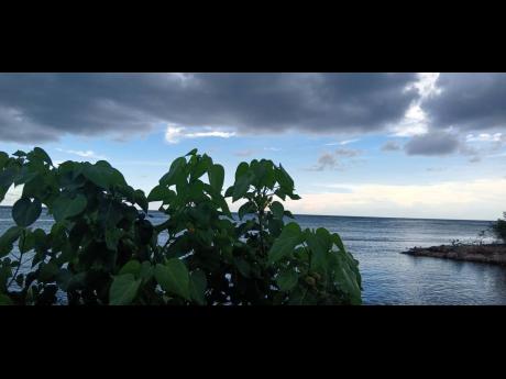 
Serene Falmouth shoreline. 