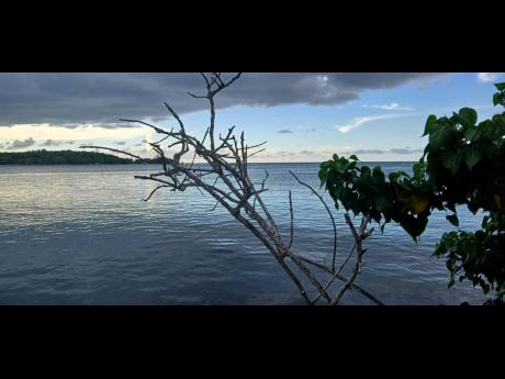 Falmouth Shoreline