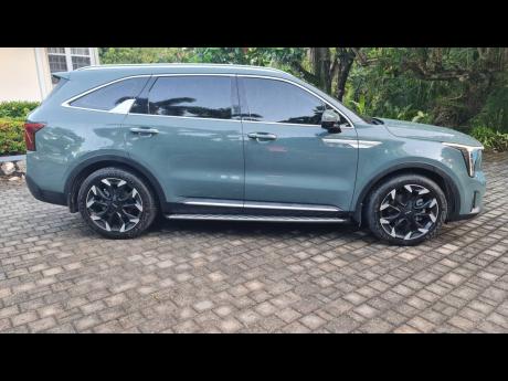 Profile view emphasising the angular body sculpting and the functional side stepping rails fitted to this premium trim level. 