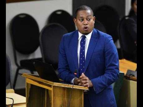 Agriculture Minster Floyd Green ... Defence attorney Hugh Wildman launched repeated attacks on Green’s credibility yesterday as he challenged the minister’s account of what he claimed to have witnessed.
